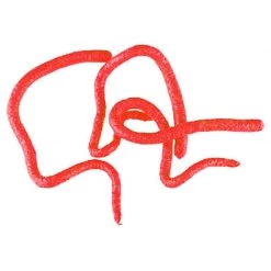 Berkley Paste baits Gulp! Earthworm Jig -Berkley Sales 2022 157846 2