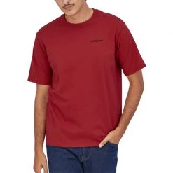 Patagonia T-shirts and polos Men's Fitz Roy Horizons Responsibili-Tee -Berkley Sales 2022 38501 SUMR B03687