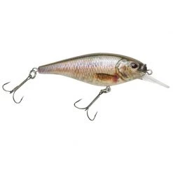 Berkley Plugs Flicker Shad Shallow Bait -Berkley Sales 2022 A60175