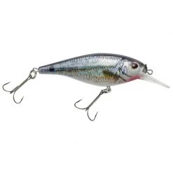 Berkley Plugs Flicker Shad Shallow Bait -Berkley Sales 2022 A60177